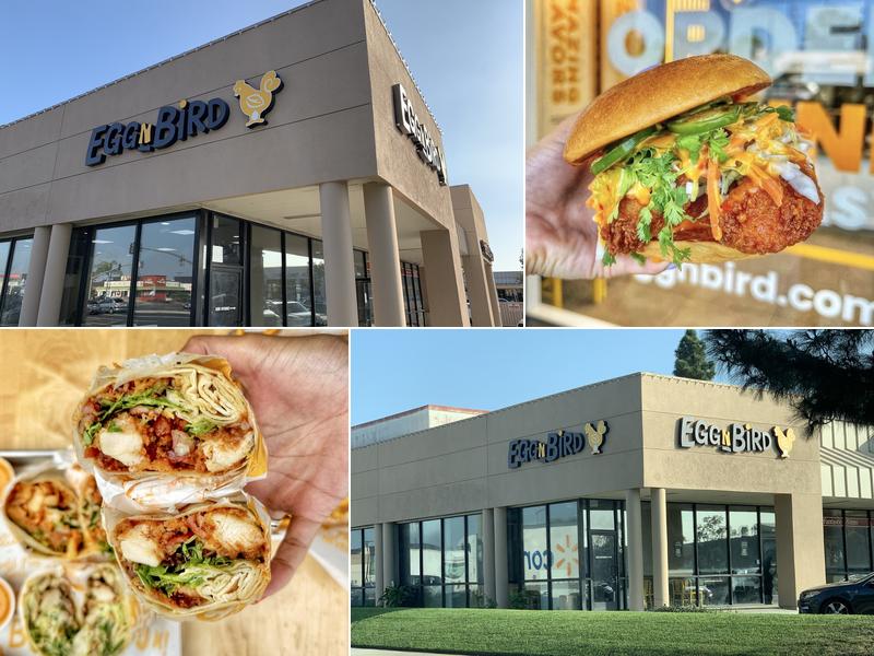 Egg N Bird - Cypress