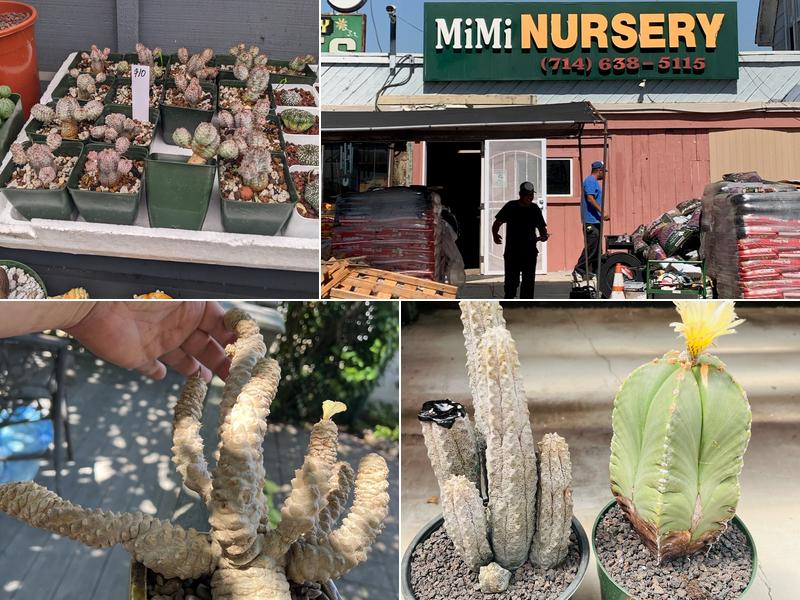 Mimi Nursery
