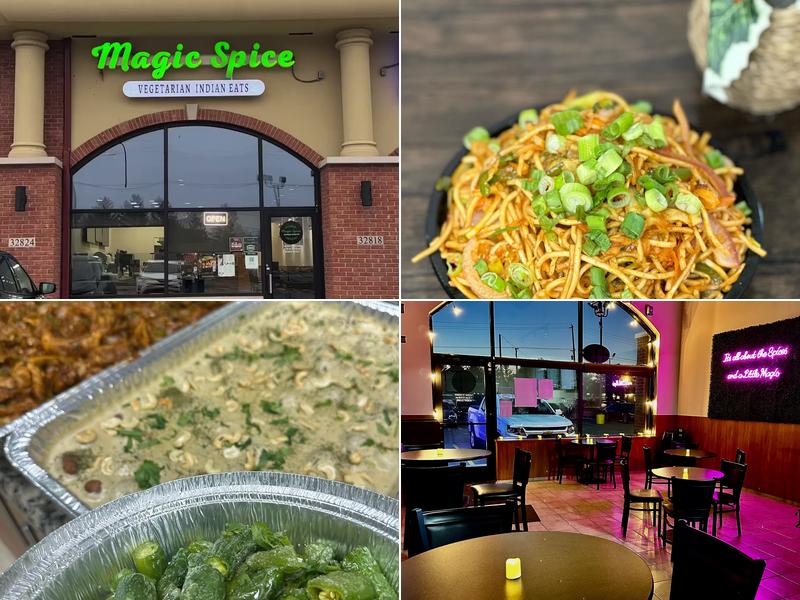Magic Spice - Vegetarian Indian Eats