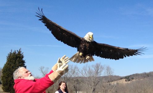 Red Wolf Sanctuary and Raptor Rehabilitation Center Rising Sun