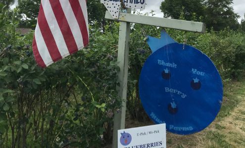 Thank You Berry Much Farms