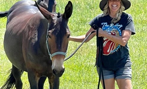 Lydia's World Jackson