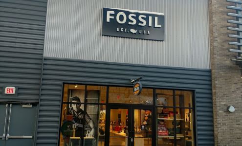Fossil Store