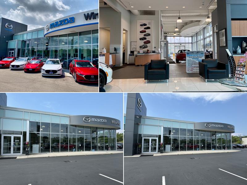 Windsor Mazda