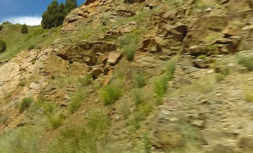 Stellar Painting & Remodeling Inc. Morrison