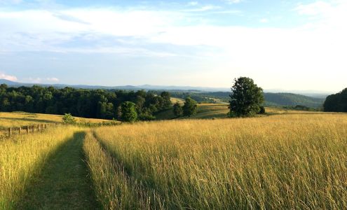 United Country Blue Ridge Land & Auction