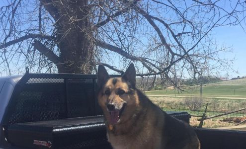 TWC Construction Inc Black Hawk