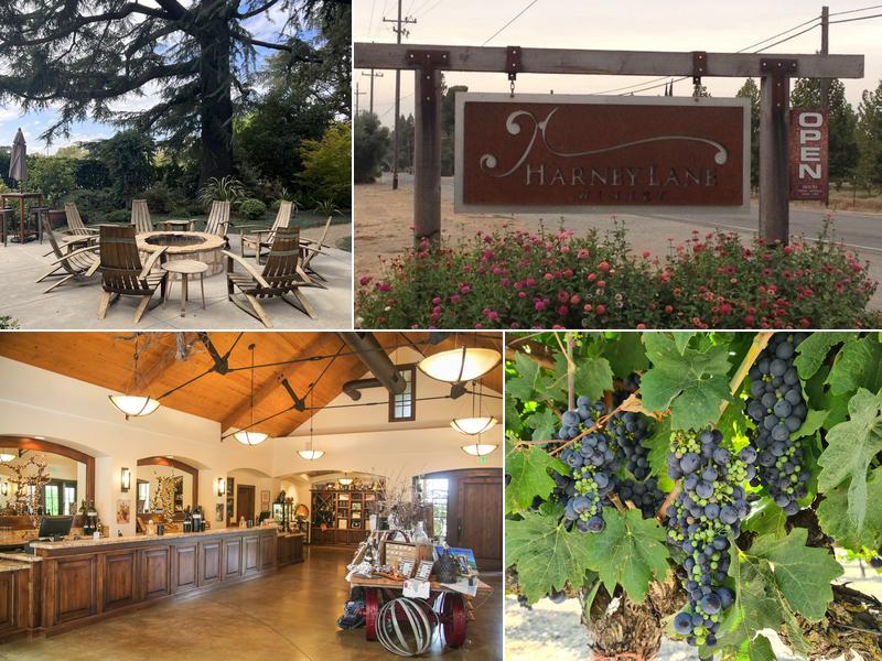 Harney Lane Vineyards