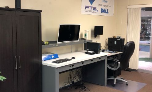 Pegasus Technology Services, Inc.