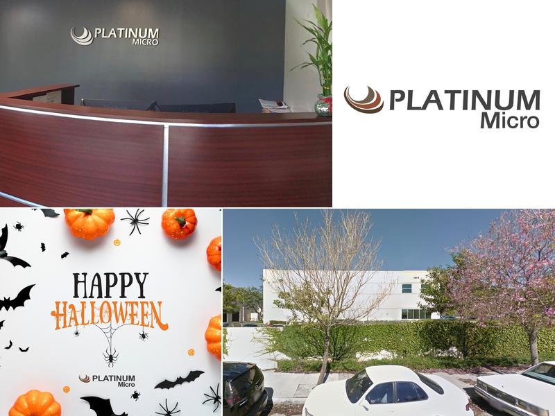 Platinum Micro Group