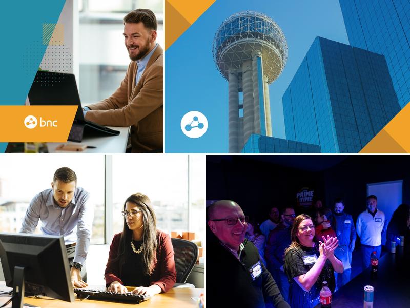 Business Network Consulting