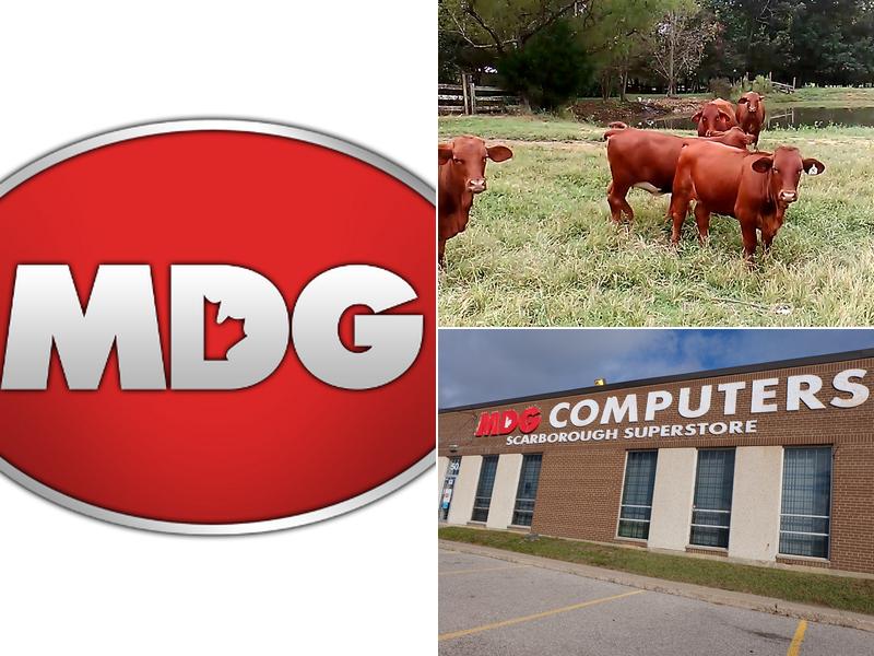 MDG Computers Markham