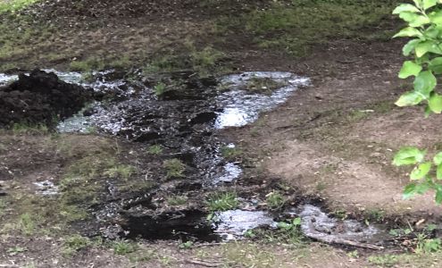 Guys Discount Pumping Septic