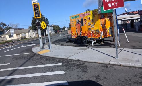 Security Lock & Alarm