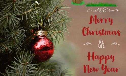 Brandts Septic & Portable Toilet Rentals 19119 Co Rd T, Sanford Colorado 81151