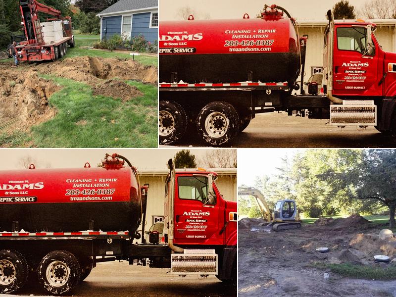 Thomas M. Adams & Sons