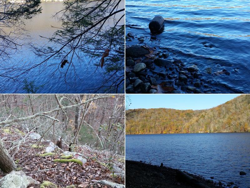 P & D Septic Services