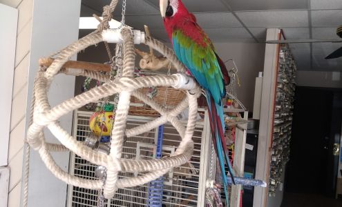 Precision Sharpening & Key Shop 1510 Capital Cir SE Suite 6E, Tallahassee Florida 32301