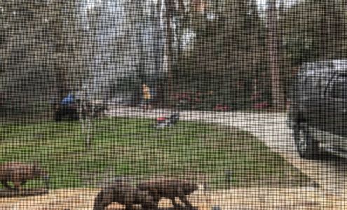 K & D Electric Inc Of Daytona