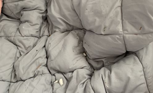 Woodridge Electrical