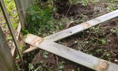 Stinky's Tank Services 399 Main St, Freeville New York 13068