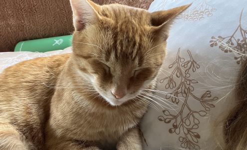 Indy Voltage Electrical Contractor