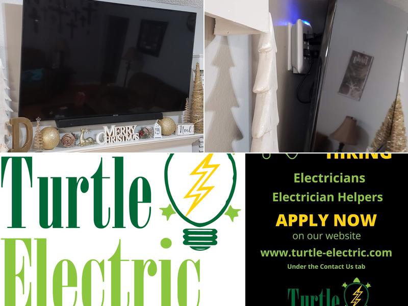 Turtle Electric