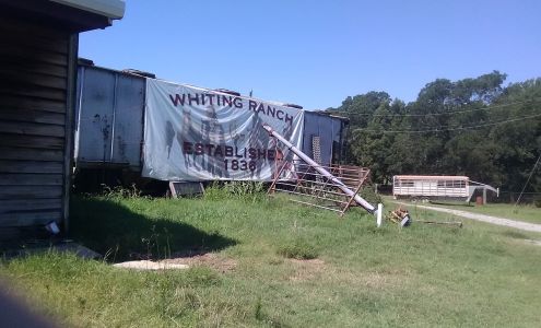 Larry Burden Pumping Services Bells