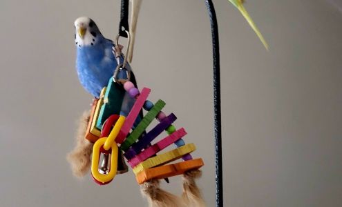 Currie's Towing Service