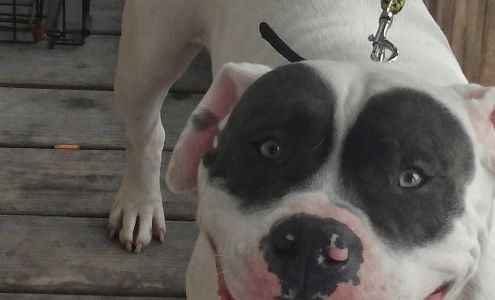 Mits-Myer Electrical