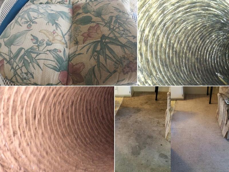 COIT Cleaning and Restoration