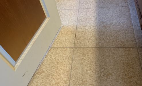 Citrus Bright Carpet Cleaning