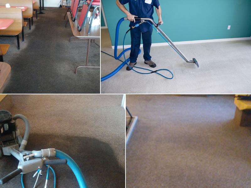 M.D. Carpet Cleaning
