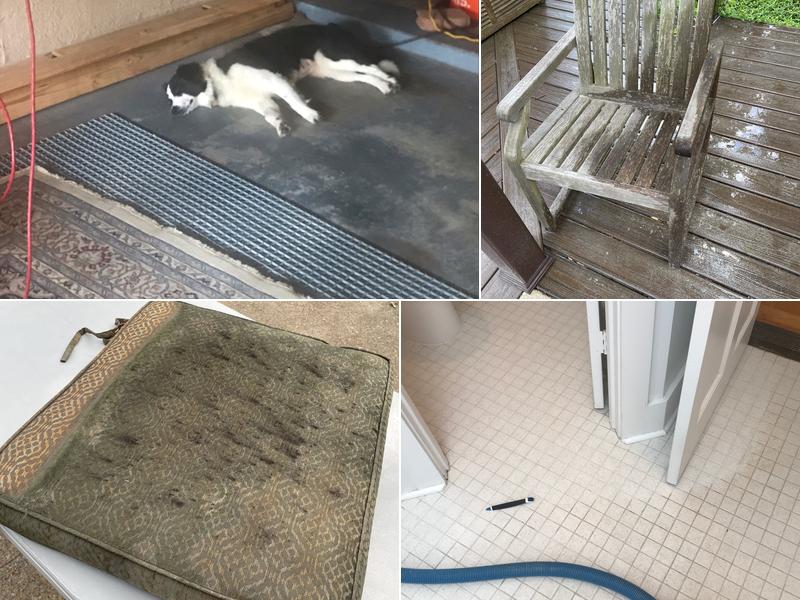 Chem-Dry of Texarkana