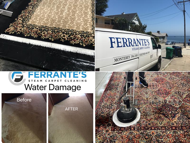 Ferrante's Steam Carpet Cleaning