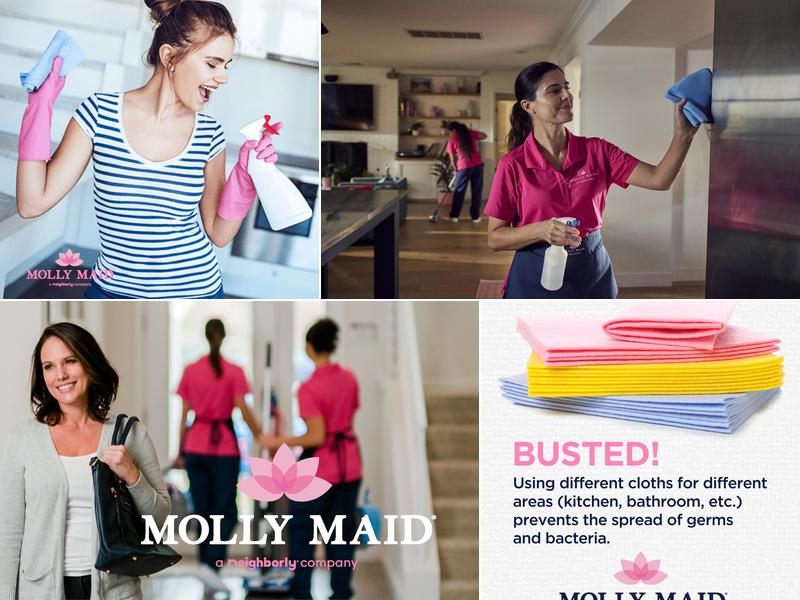 Molly Maid of S. Silicon Valley