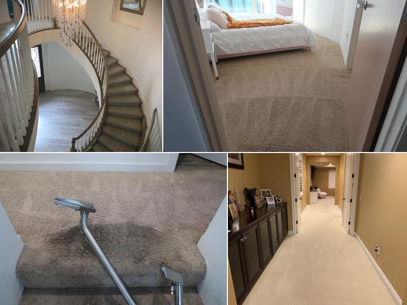 5 Step Carpet Care SCV