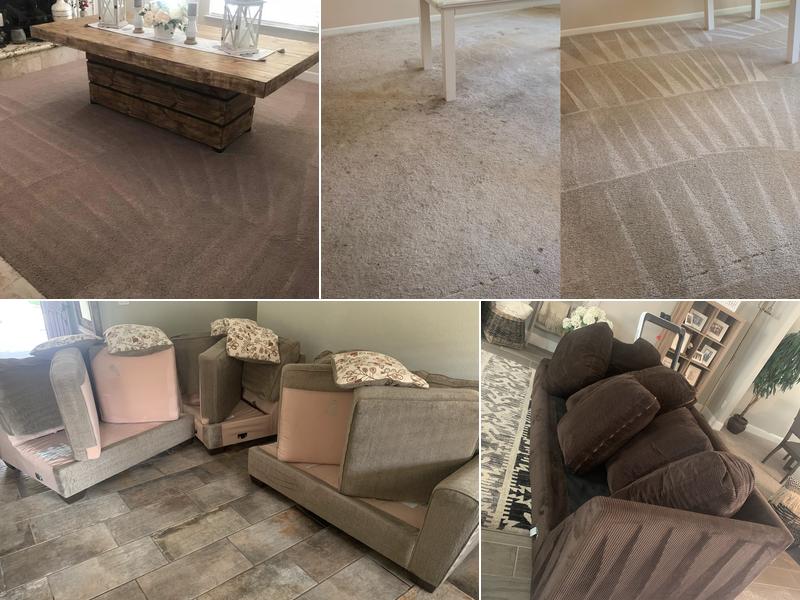 America's Carpet Guy