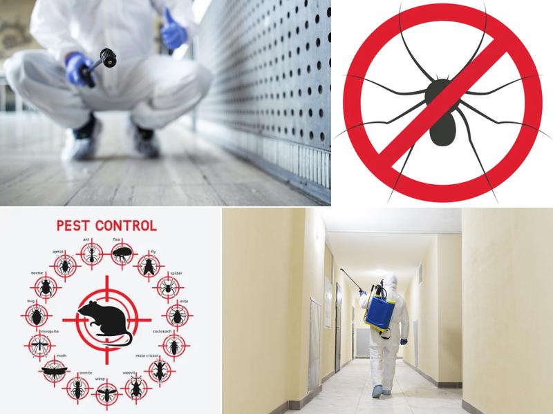 Bob's Community Pest Control