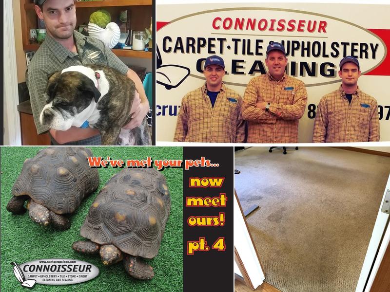 Connoisseur Carpet, Upholstery, and Tile Cleaning