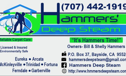 Hammers' Deep Steam Reliable Carpet Care 70 Stephens Ln, Bayside California 95524