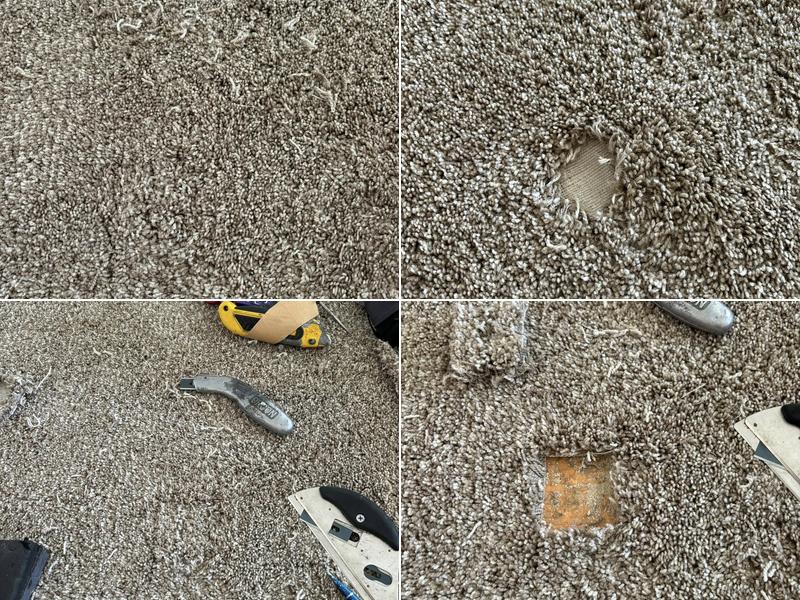 High Performance Carpet Cleaning