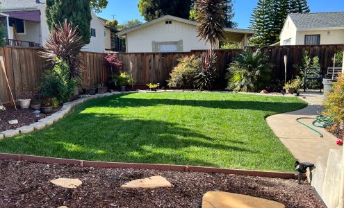 Santa’s cleaning & Landscaping services