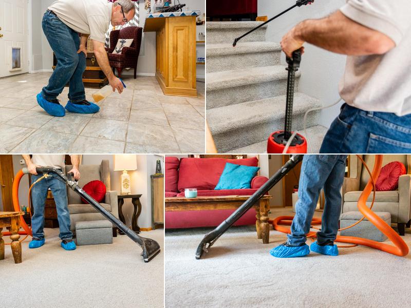 Mountain Best Carpet & Upholstery Cleaning