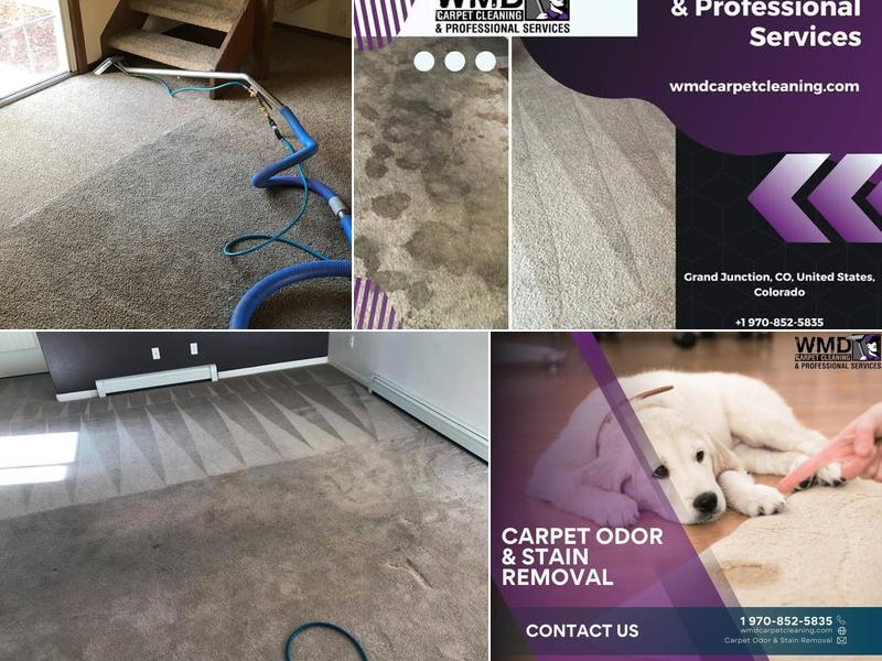 WMD Carpet Cleaning