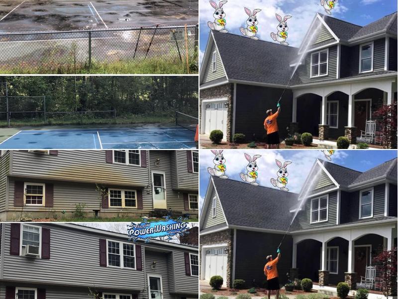 Paragon Power Washing