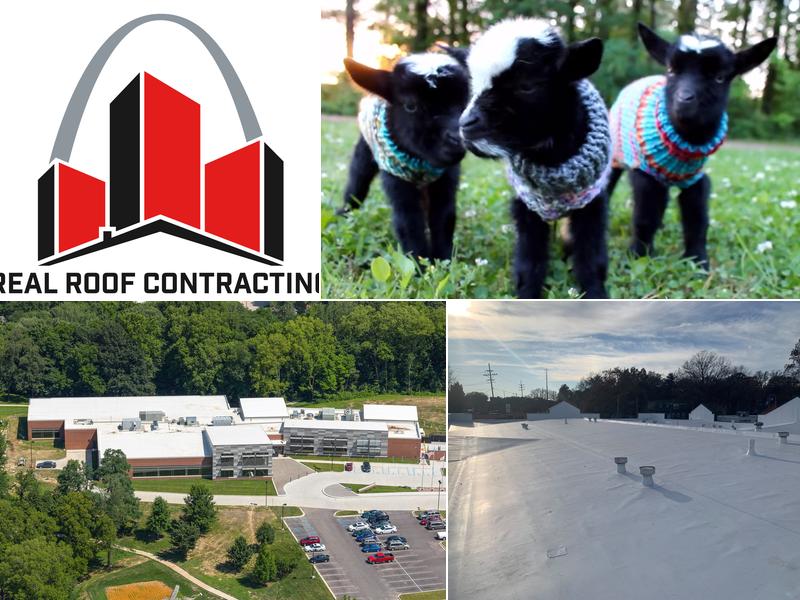 Real Roof Contracting