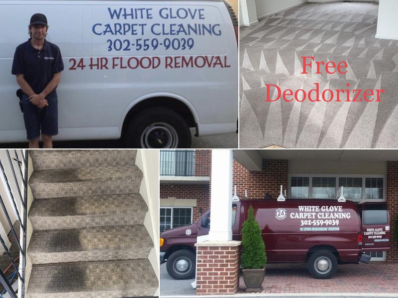 White Glove Carpet Cleaning
