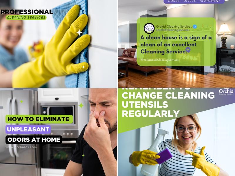 Orchid Cleaning Services