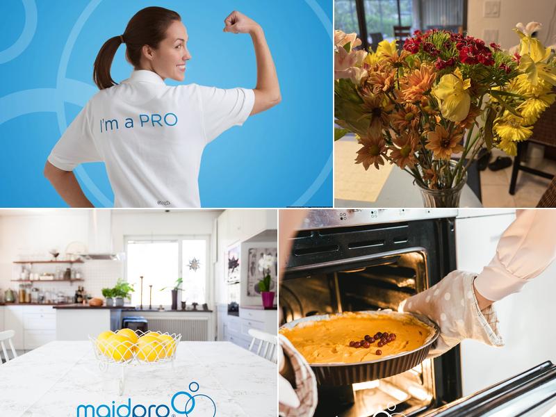 MaidPro Port Charlotte